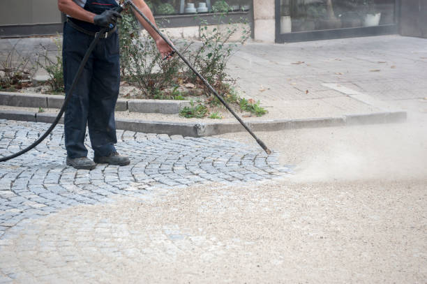 Best Driveway Pressure Washing  in Pine Castle, FL
