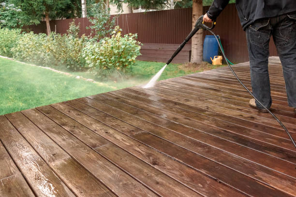 Best Fence Cleaning  in Pine Castle, FL